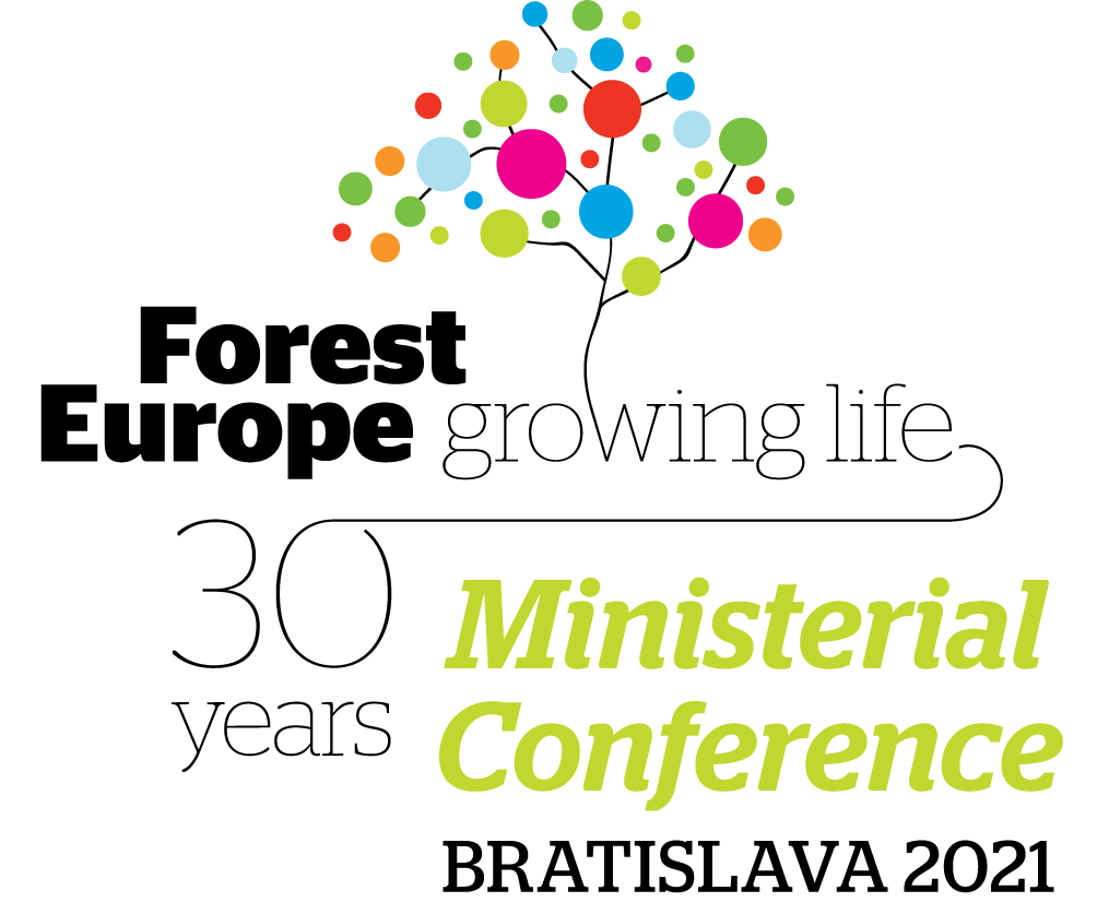 Logo Konferencie 8MC 2021